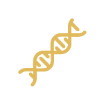 DNA Icon gold